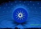 Cardano'nun Özellikleri, Kullanım Alanları ve Geleceği icin Teknoloji & Bilim haber gorseli